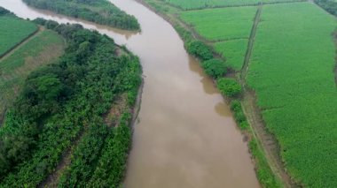 Cauca Nehri ve Ekinler üzerinde uçmak. Yüksek kalite 4k görüntü