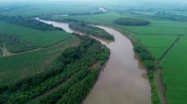 Cauca Nehri 'nin havadan görünüşü. Yüksek kalite 4k görüntü
