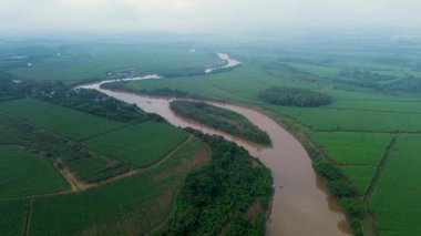 Kolombiya 'daki Cauca Nehri' nin Manzarası. Yüksek kalite 4k görüntü