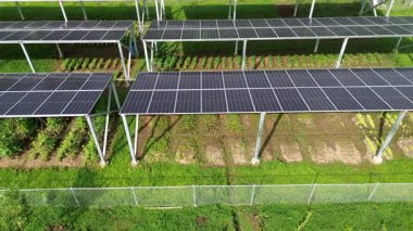 Çevresel bahçeleri ve sürdürülebilir tarlaları olan güneş topluluğu. Yüksek kalite 4k görüntü