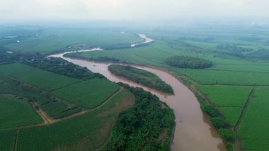 Valle del Cauca 'da şeker kamışı ve nehir. Yüksek kalite 4k görüntü