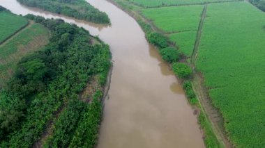Cauca Nehri Vadisi 'nin insansız hava aracı görüntüleri. Yüksek kalite 4k görüntü