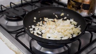 Pan 'da soğan ve domates kızartma, fırında domatesle soğan pişirme, kızartma tavasında sebze kızartma. Yüksek kalite 4k görüntü