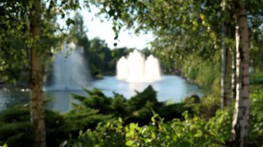 Güneşli bir yaz gününde yemyeşil yaprakların arasından görülen, park çeşmelerinin bulanık görüntüsü.