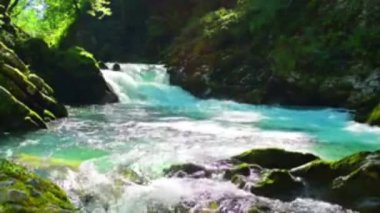 Canlı, kristal gibi berrak bir nehir, yemyeşil bir ormanın içinden çağlayarak geçer. Güneş ışığıyla yıkanır..