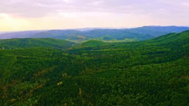 Gün batımında yeşil tepeleri ve yemyeşil ormanları gösteren panoramik hava manzarası.
