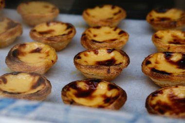 Fırın rafında taze pastel de nata. Portekiz tatlısı. Porto, Portekiz.