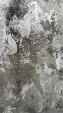 Duvar alçıyla kaplı, kusurları var ve bir çeşit küf ve lekelerle dolu. 