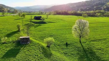 Ağaçlar ve kulübelerle yeşil çayırların üzerinde gün doğumu. Geniş, güneşli yeşil bir çayır, çiçek açan ağaçlar ve kırsal ahşap barakalarla kaplı, uzak tepelere doğru uzanır. Yumuşak sabah güneşi uzun gölgeler bırakır ve sakin kırsal kesime altın bir renk katar. 