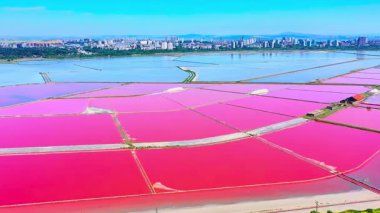Çin 'in Pembe Tuz Sahaları (Pembe Tuz Tarlaları)