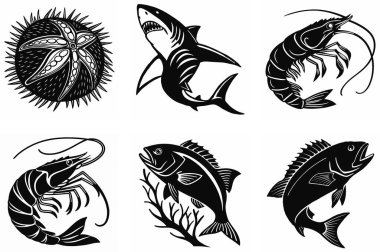 Rainboho tasarımları, narin çiçekler ve temiz beyaz bir arka planda romantik aşk motiflerinin yer aldığı büyüleyici bir sevgililer günü seti keşfedin. Sanat yapmak, tasarım yapmak ya da yaratıcı projelerinize biraz sevgi katmak için mükemmel.. 