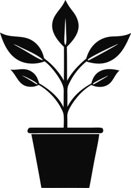  bir bitki sanatının siyah beyaz çizimi