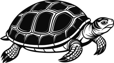  Kaplumbağa yalıtılmış vektör grafik tasarımı. Bu düzenlenebilir ve yazdırılabilir bir vektör eps dosyası.