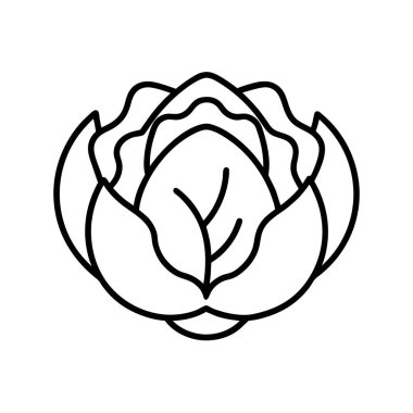 lahana başlıklı taslak simgesi