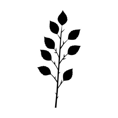 Karahindiba kabarık-kabarık-kabarık-beyaz sırtüstü-siluet.