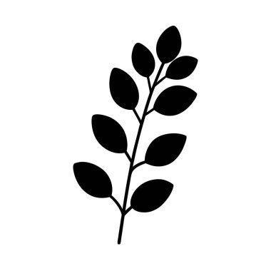 okaliptüs-dal-siluet-on-som-white