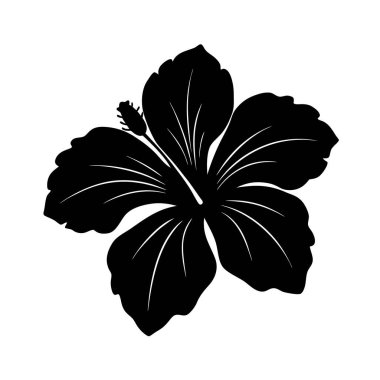 hibiscus-flower-siluet-on-solid-white-backgroud