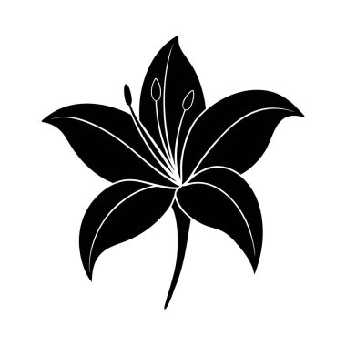  Zambak-çiçek-siluet-on-solid-white-background