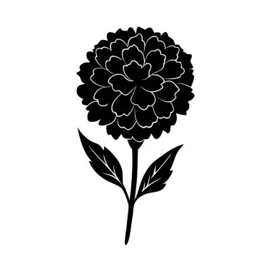 Tropikal-canavar-yaprak-köşe-çerçeve dekoratif