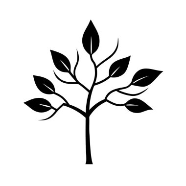 ceviz ağacı dallı, yapraklı, siluetli..