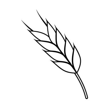 karikatür stili buğday-kulak simgesi-sonrası