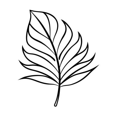 Zarif-tropikal-yaprak-çizgi-sanat-üstüne-beyaz 