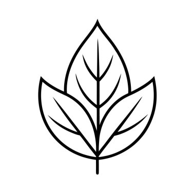  Doğa-esinlenilmiş-yaprak-ikon-illüstrasyon-kıç 