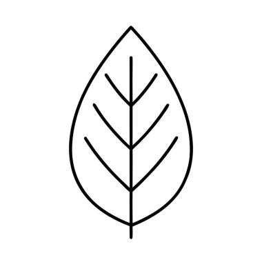 çizilmiş-yaprak-simge-vektör-üstüne-beyaz 'ı içerir-