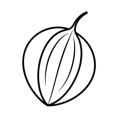 kavun yaprağı izole edilmiş, organik ayrıntı ve def.