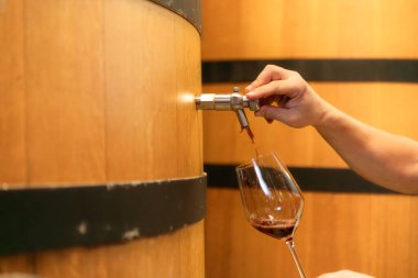 Şaraphanede çalışan olgun erkek araştırmacılar ve geliştiriciler bir süredir mayalanan şarabı test ediyorlar..