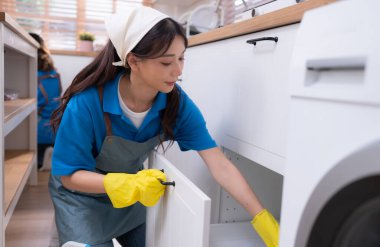 Asyalı genç kadın mutfakta bulaşık makinesini temizliyor. ev işi kavramı