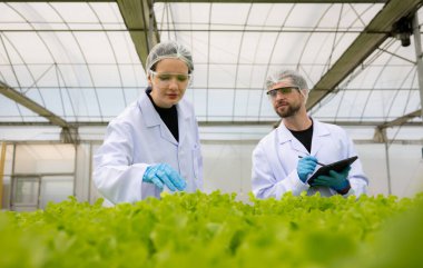 Bilim adamları kapalı bir çiftlikte organik sebze yetiştirme üzerine araştırma ve geliştirme yapıyorlar..