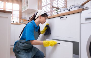 Asyalı genç kadın mutfakta bulaşık makinesini temizliyor. ev işi kavramı