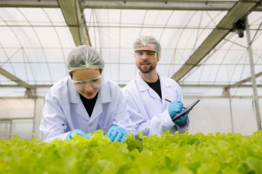 Bilim adamları kapalı bir çiftlikte organik sebze yetiştirme üzerine araştırma ve geliştirme yapıyorlar..