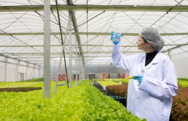 Bilim adamları kapalı bir çiftlikte organik sebze yetiştirme üzerine araştırma ve geliştirme yapıyorlar..