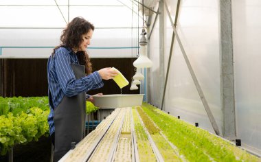 Organik sebze bahçesi sahibi, küçük iş kadını organik sebze bahçesinde sebze filizlerini denetliyor..