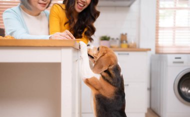 Anne ve kızıyla birlikte hafta sonu kaçamağında evde birlikte yemek pişiriyorlar..
