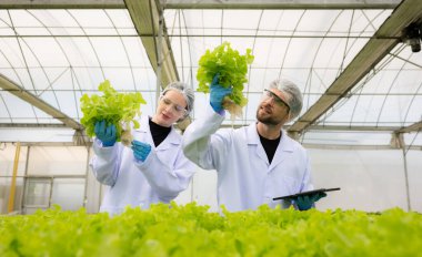 Bilim adamları kapalı bir çiftlikte organik sebze yetiştirme üzerine araştırma ve geliştirme yapıyorlar..