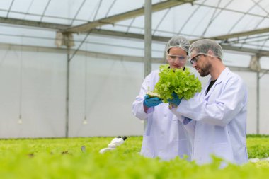 Bilim adamları kapalı bir çiftlikte organik sebze yetiştirme üzerine araştırma ve geliştirme yapıyorlar..