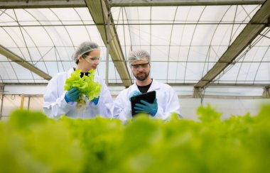 Bilim adamları kapalı bir çiftlikte organik sebze yetiştirme üzerine araştırma ve geliştirme yapıyorlar..
