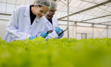 Bilim adamları kapalı bir çiftlikte organik sebze yetiştirme üzerine araştırma ve geliştirme yapıyorlar..