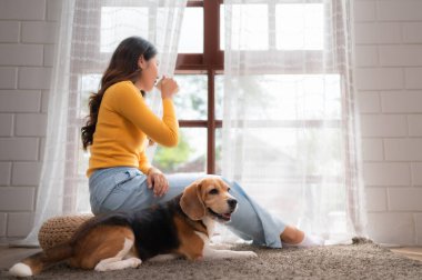 Hafta sonları, bir av köpeği ve sahibi oturma odasında oturur, kahvelerini yudumlar ve pencereden dışarı bakarlar..