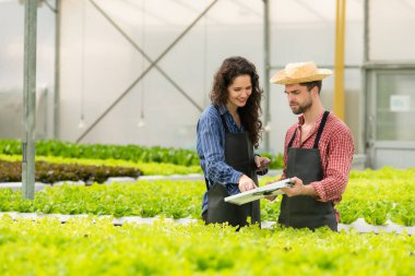 Organik sebze bahçesinin elektrik sistemi için küçük bir güneş pili paneli kurma görevi olan küçük iş adamları.