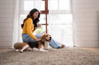 Hafta sonları, bir av köpeği ve sahibi oturma odasında oturur, kahvelerini yudumlar ve pencereden dışarı bakarlar..