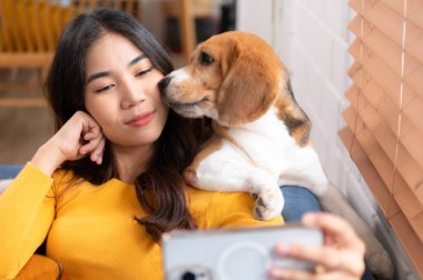 Beagle dog, evin oturma odasındaki kanepede sahibinin selfie 'sine katılıyor.