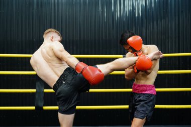 Muay Thai, Tayland 'ın dövüş sanatı, boynuna tekme atan bir boksör..