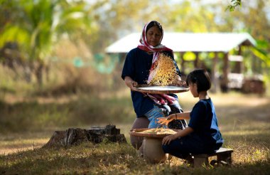 Taylandlı çiftçilerin kırsal yaşamlarının% 70 'ten fazlası çiftçilikle geçiyor. Çiftçilerin resimde gösterildiği gibi sepetlerle pirinç öğütmek, pirinci kabuktan ayırmak için kullanılan bir yöntemdir..