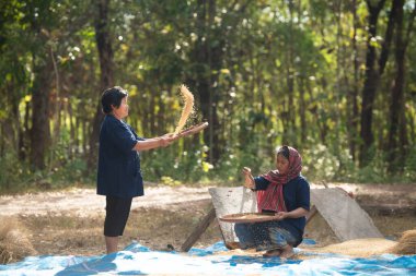 Taylandlı çiftçilerin kırsal yaşamlarının% 70 'ten fazlası çiftçilikle geçiyor. Çiftçilerin resimde gösterildiği gibi sepetlerle pirinç öğütmek, pirinci kabuktan ayırmak için kullanılan bir yöntemdir..
