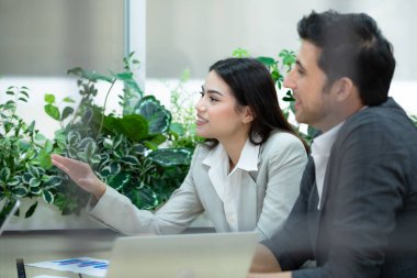 Genç girişimcilerden oluşan bir grup. Dijital finans işiyle ilgili yeni hisse senetlerine yatırım hazırlamak için fikir alışverişinde bulunmak ve bilgileri gözden geçirmek.