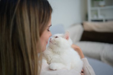 Beyaz bir Pers kedisi efendisini cesaretlendirmek için yanında kıvranırken genç bir kadın evde çalışıyor.